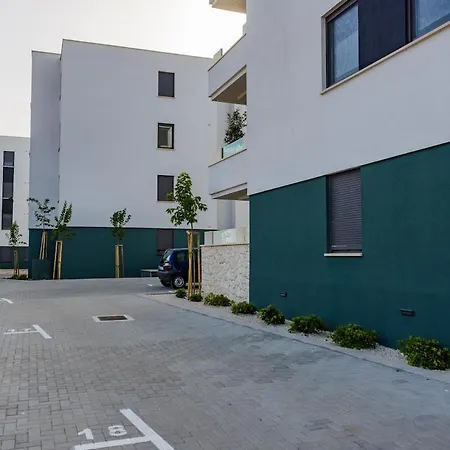 Ena - Borik زادار